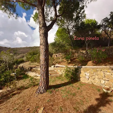 Fonza Vista Mozzafiato Su Montecristo Vakantiehuis CAMPO NELL'ELBA